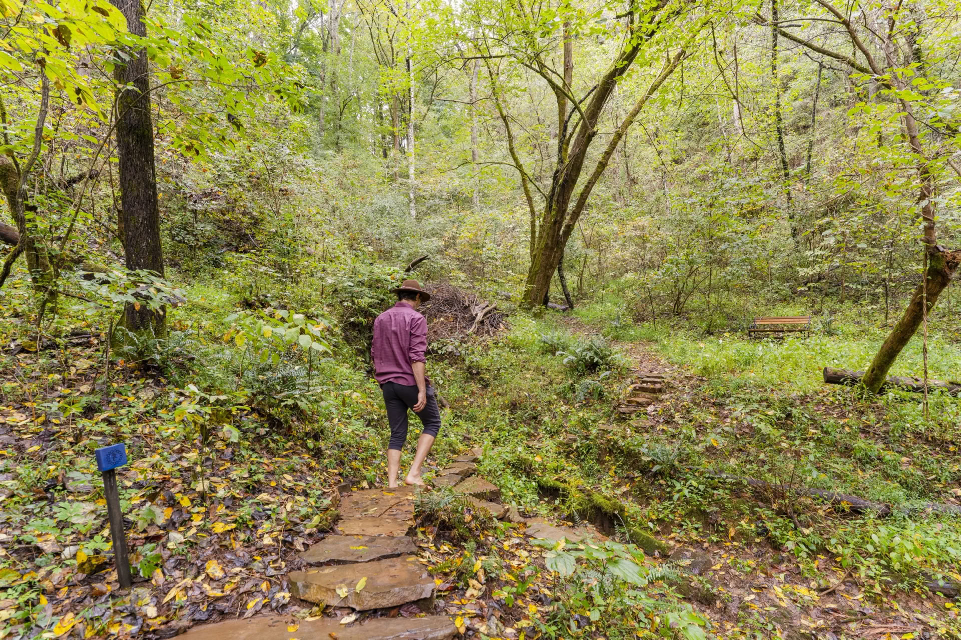Yoga & vandrerejse-retreat | Yoga-retreat i Smoky Mountains — Seven Springs