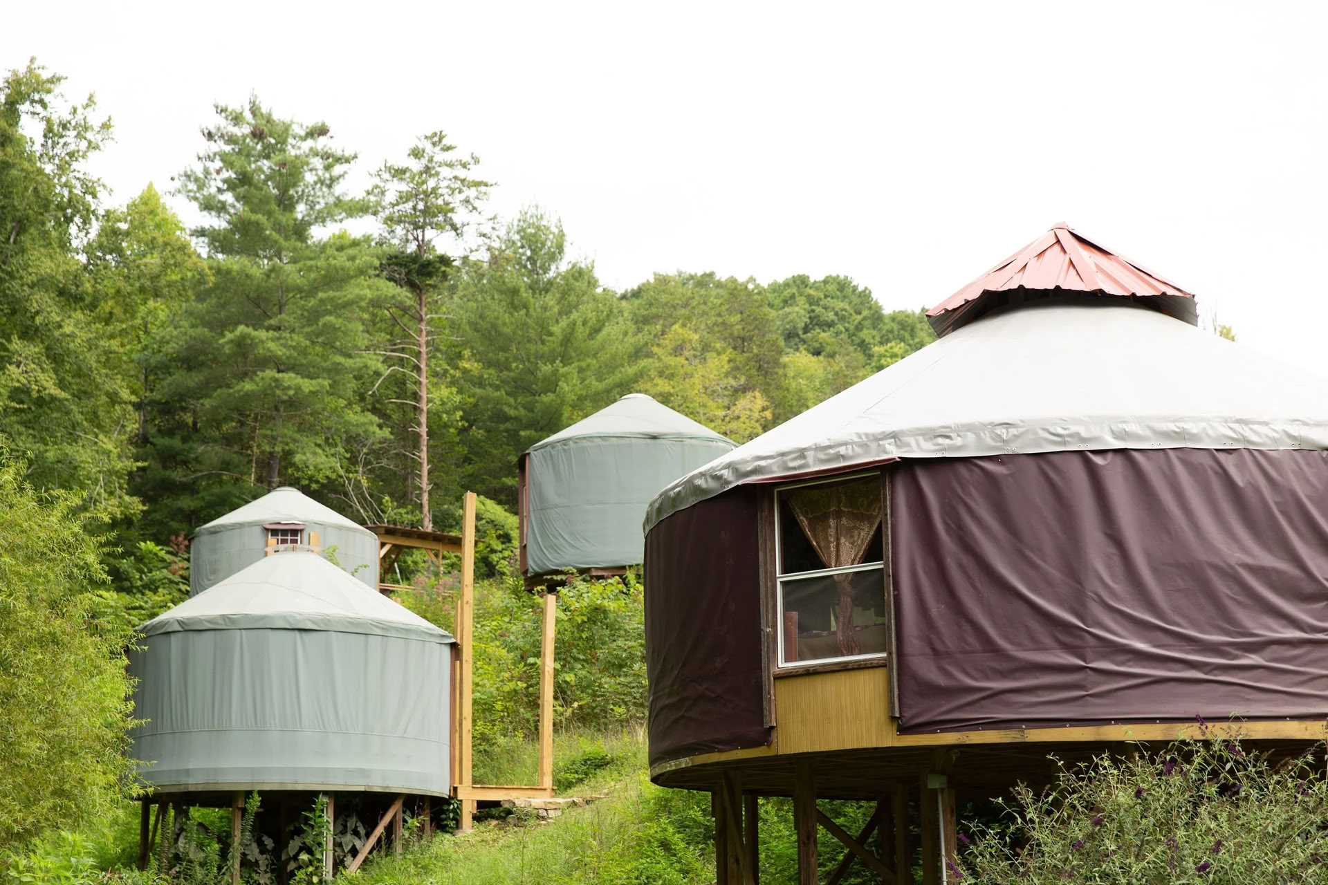 Parsamling i Smoky Mountains for par