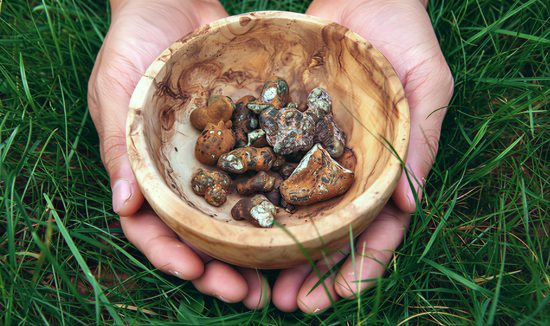 5-dages psilocybin-retreat – 5 dage - 15.-19. marts 2027