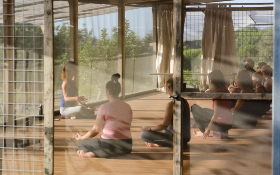 Retreat med citrusduft - yoga- og kunstrejse