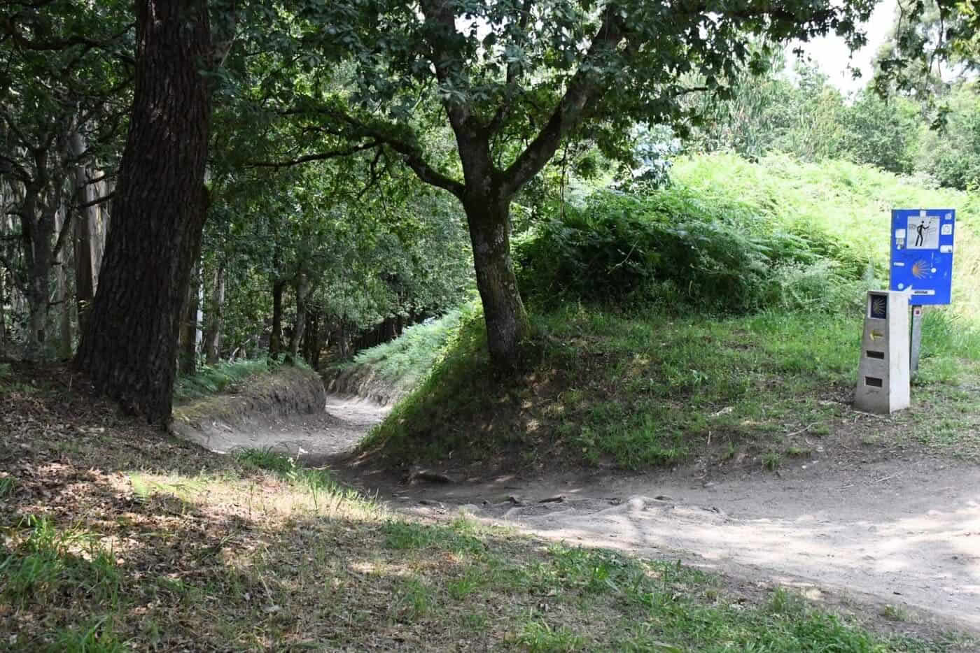Portugisiske Camino de Santiago fra Tui i 5 etaper, komfortklasse