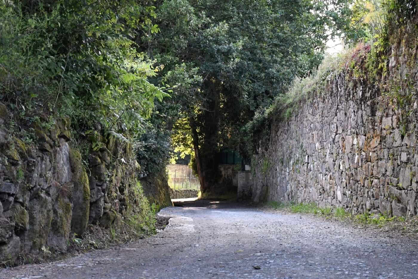 Primitiv Camino fra Lugo i 5 etaper, komfortklasse