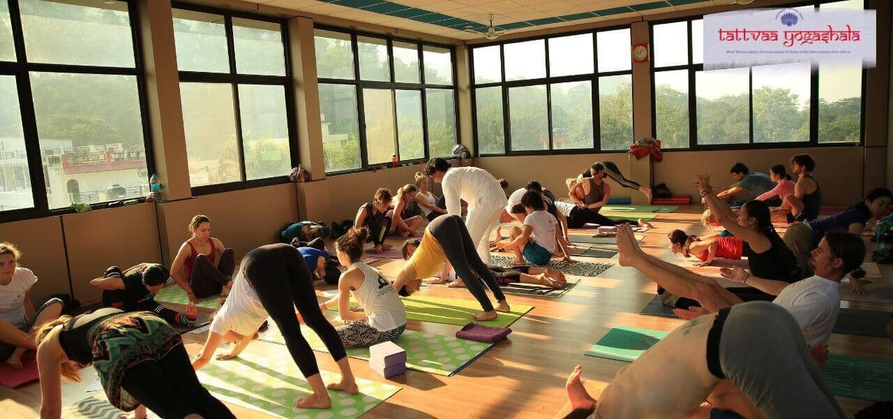 500 timers yogalæreruddannelse i Rishikesh