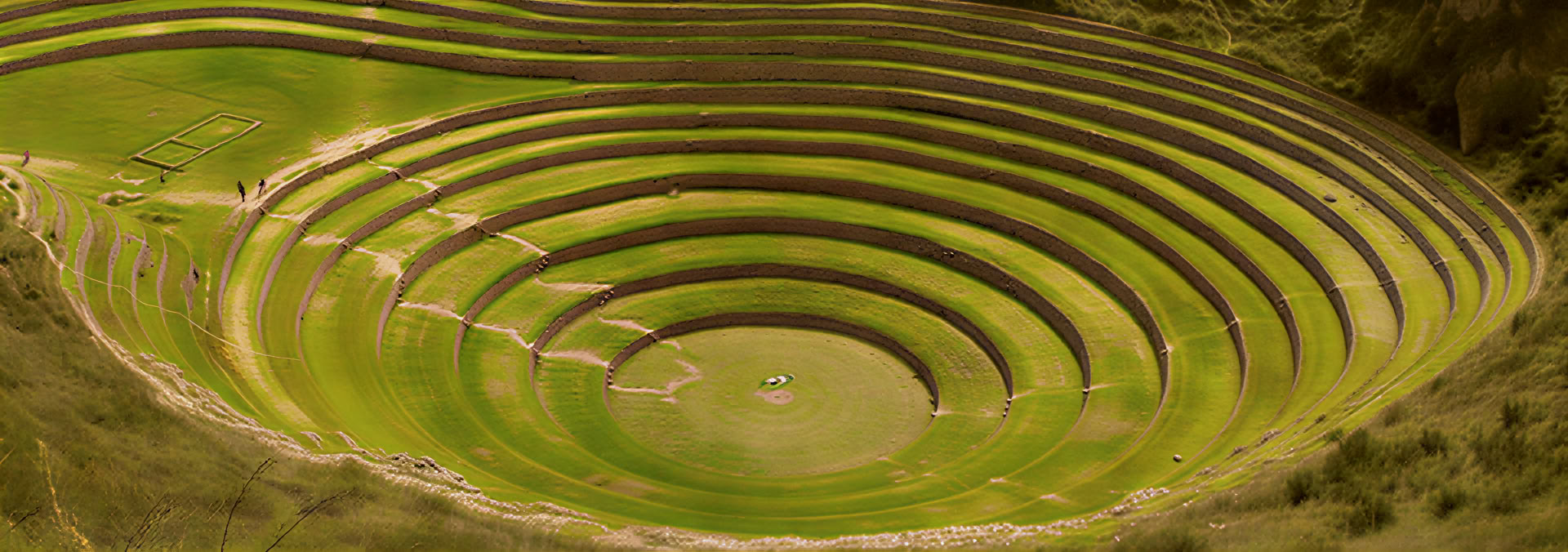 Maras Moray – Saltminer