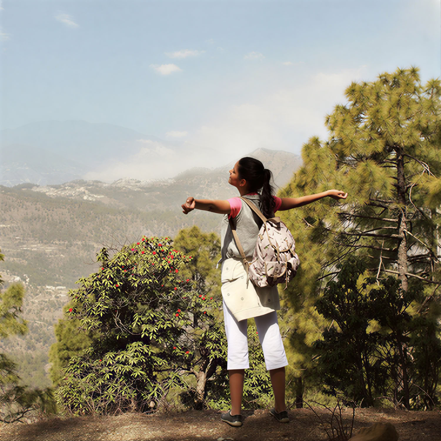 Ananda i Himalaya