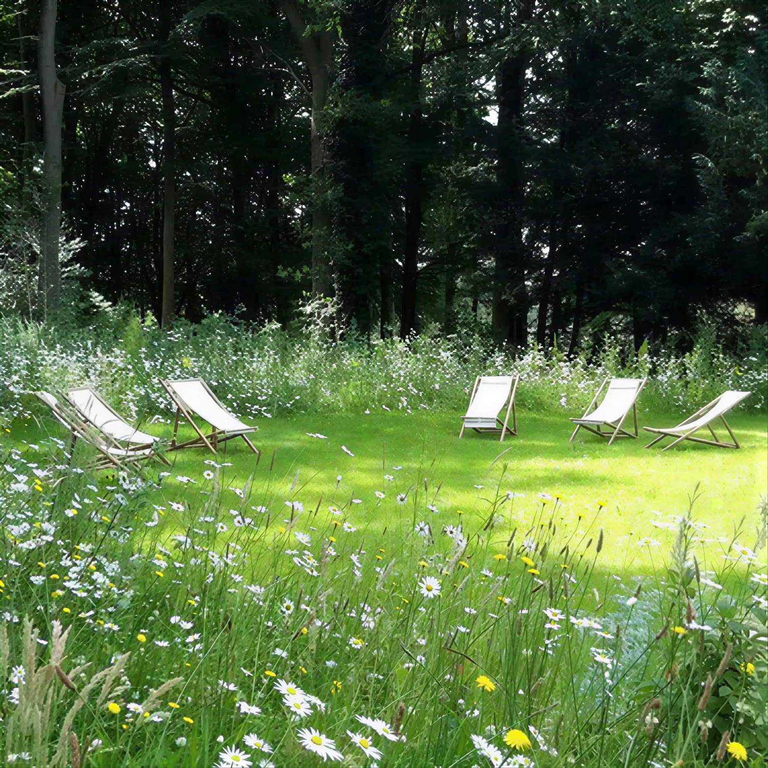 Beckley Retreats - Nederlandene