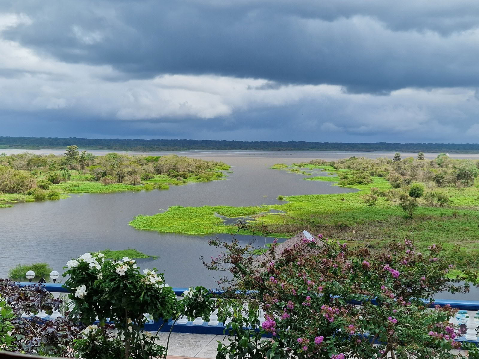 Ayahuasca-retreat i Peru