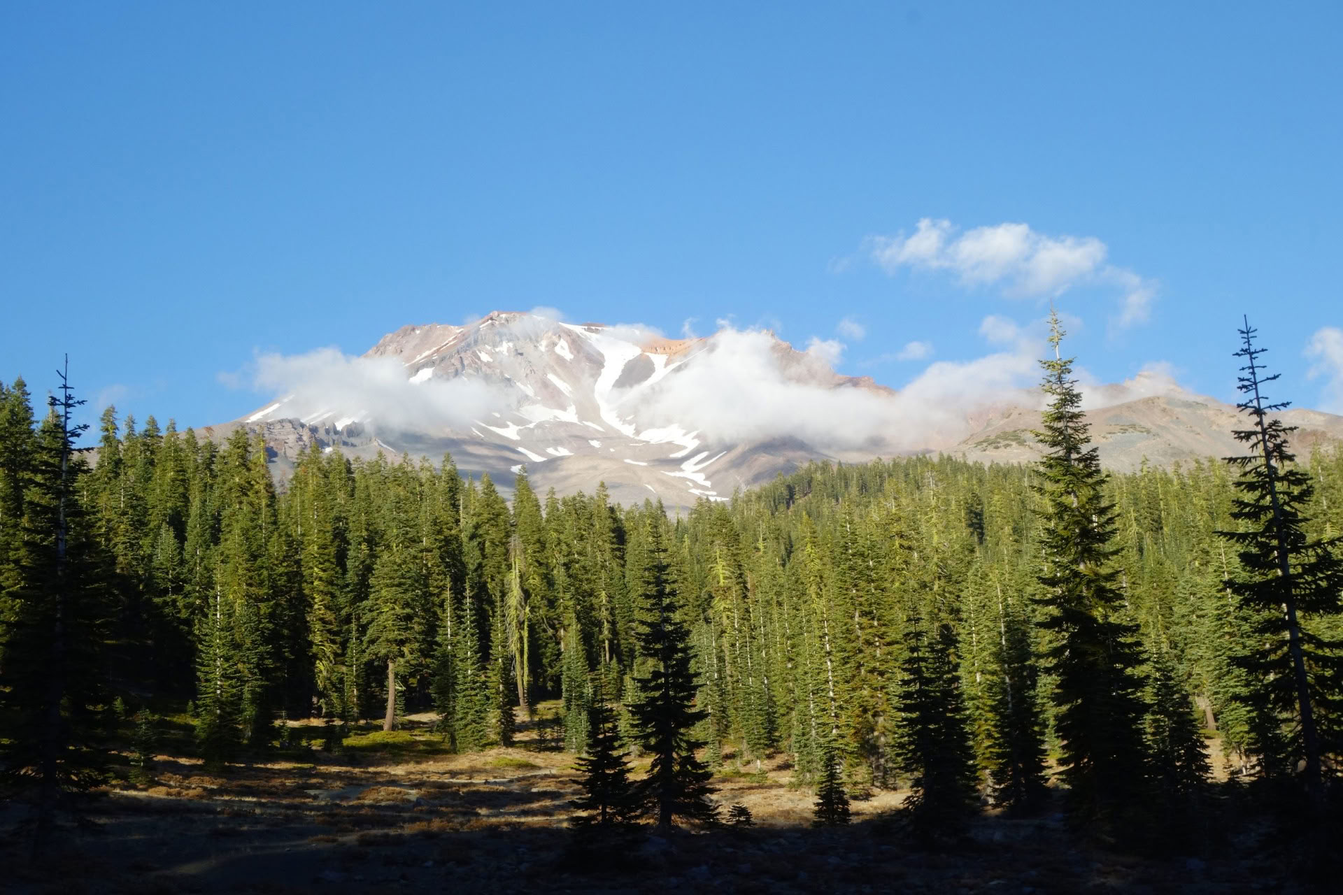 Premium Mount Shasta-retreats