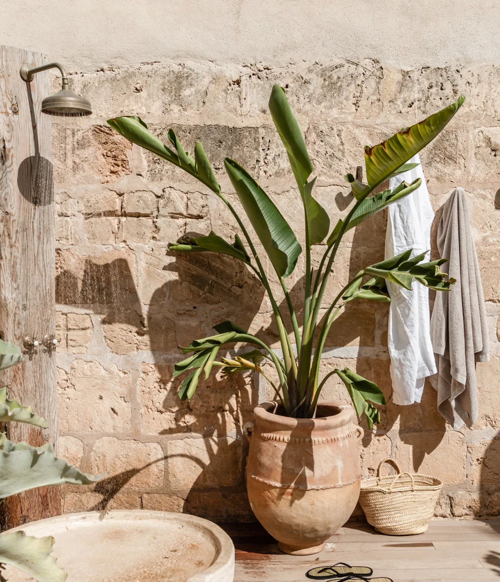 Mediterransk flow: Yoga ved havet på Mallorca med Stephanie Phelan