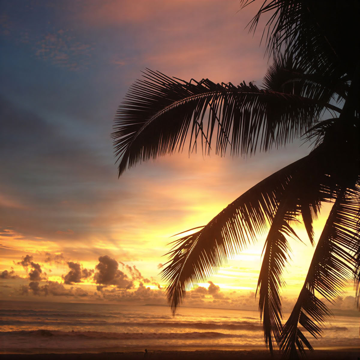 Retreat ved Jaco Beach, Costa Rica