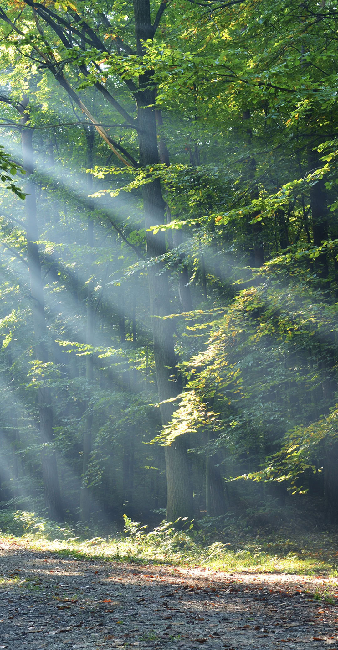Jordkvindens nøgenyoga- og meditationsretreat