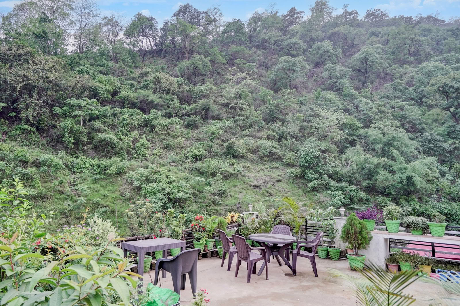 Detox-retreat i Rishikesh