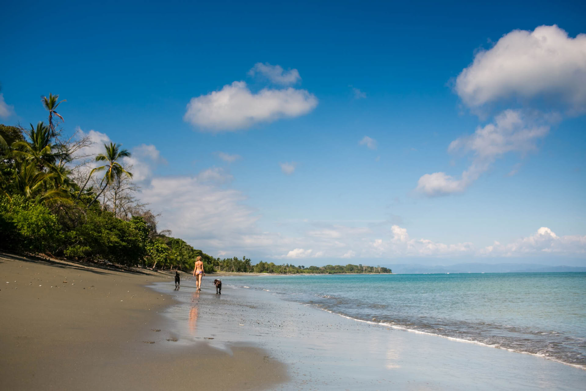 Blid visdom: Yoga- og meditationsretreat i Costa Rica i 2027