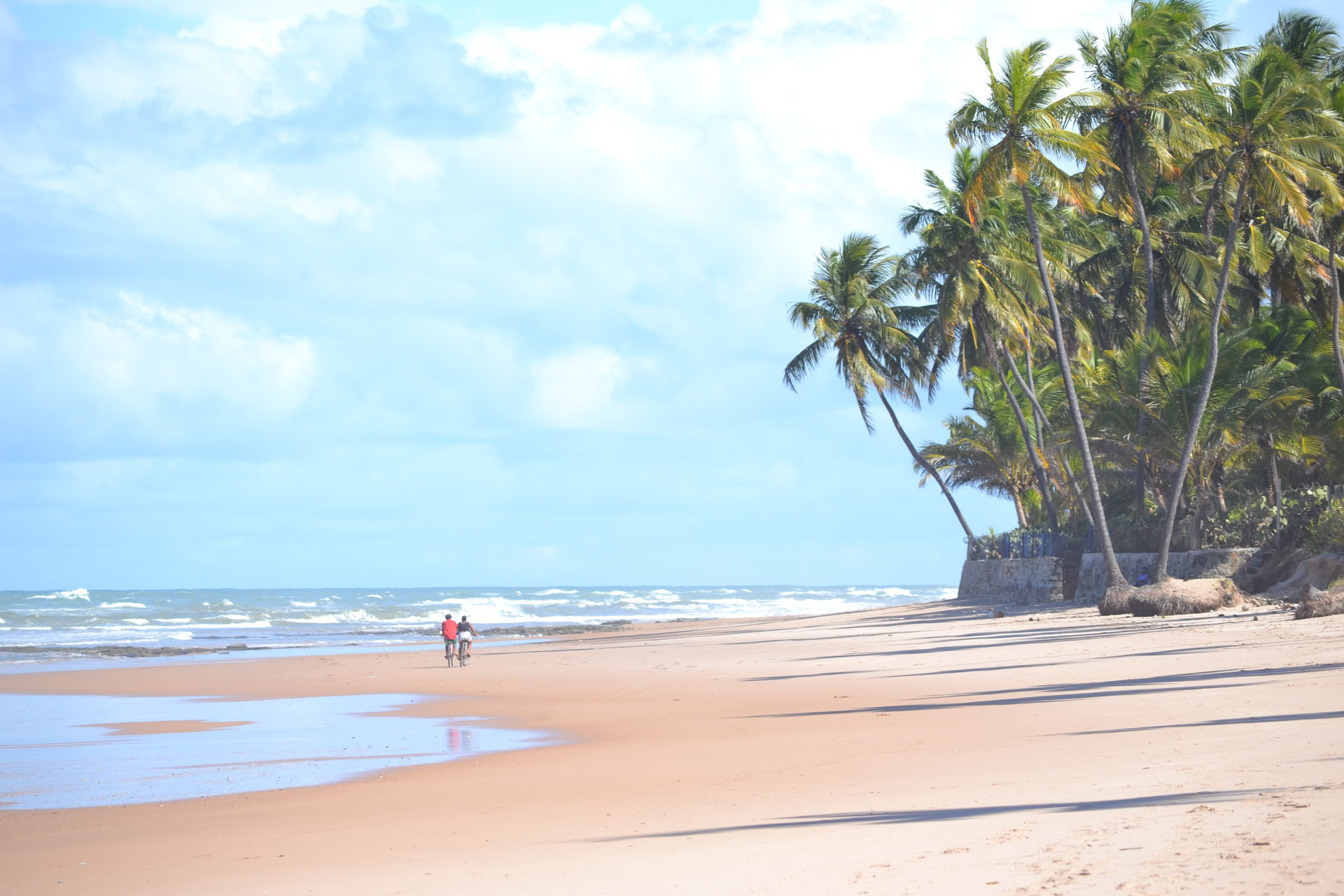 Surflejr i Bahia, Brasilien