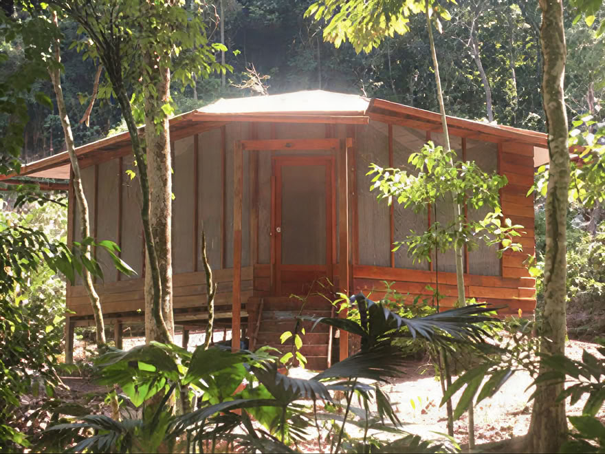 Ayahuasca-weekendretreat