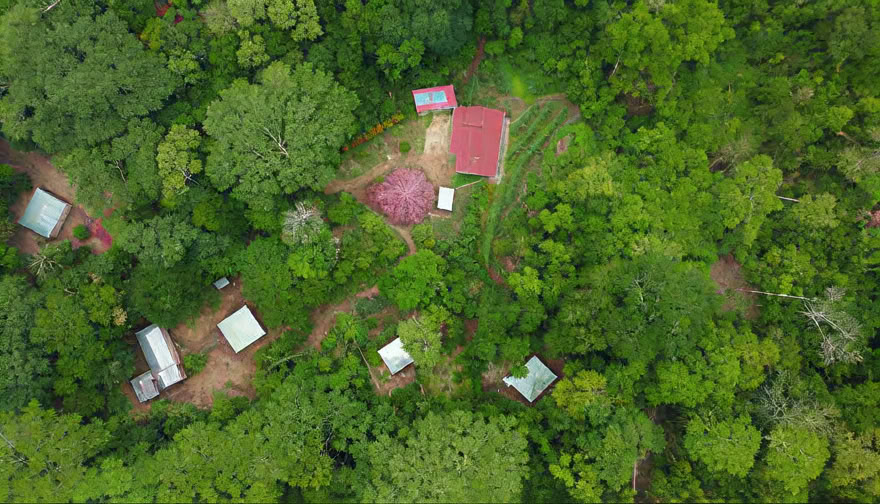 Ayahuasca-weekendretreat