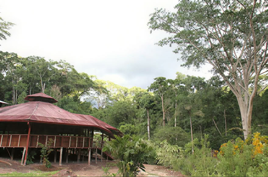 Ayahuasca-weekendretreat