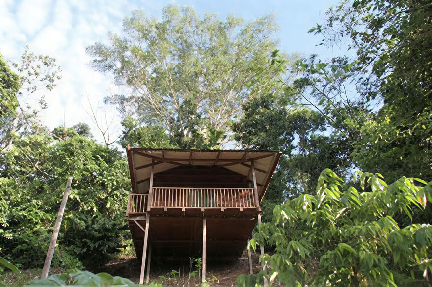 Ayahuasca-weekendretreat