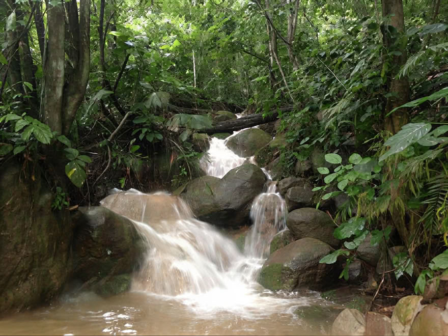 Ayahuasca-weekendretreat