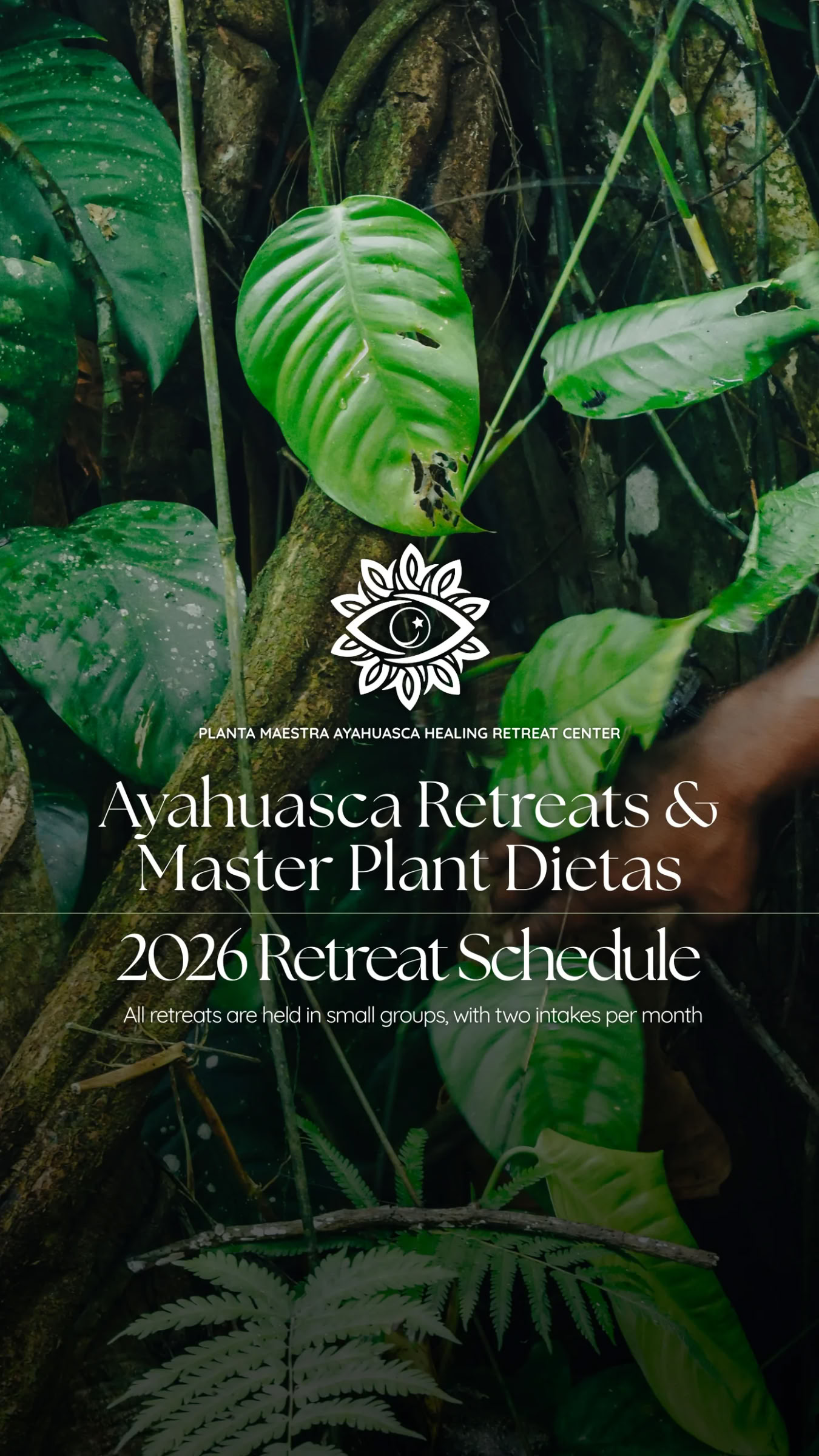 10-dages ayahuasca-rejse + mesterplante-dieta