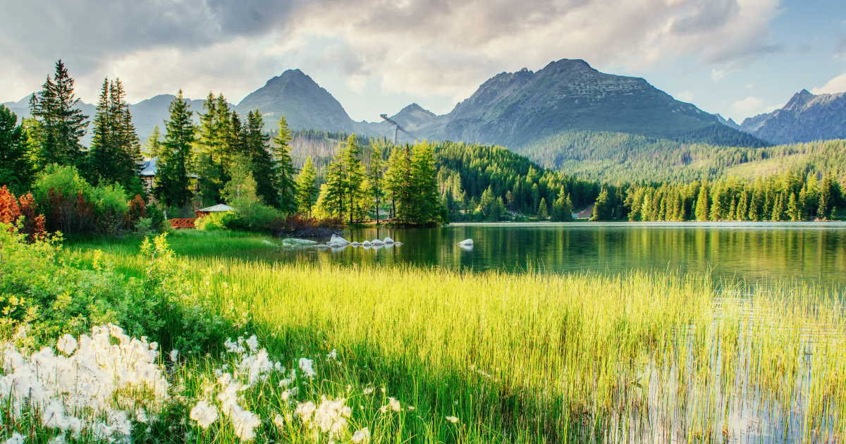 Wellness-retreat i Slovakiet – sommer