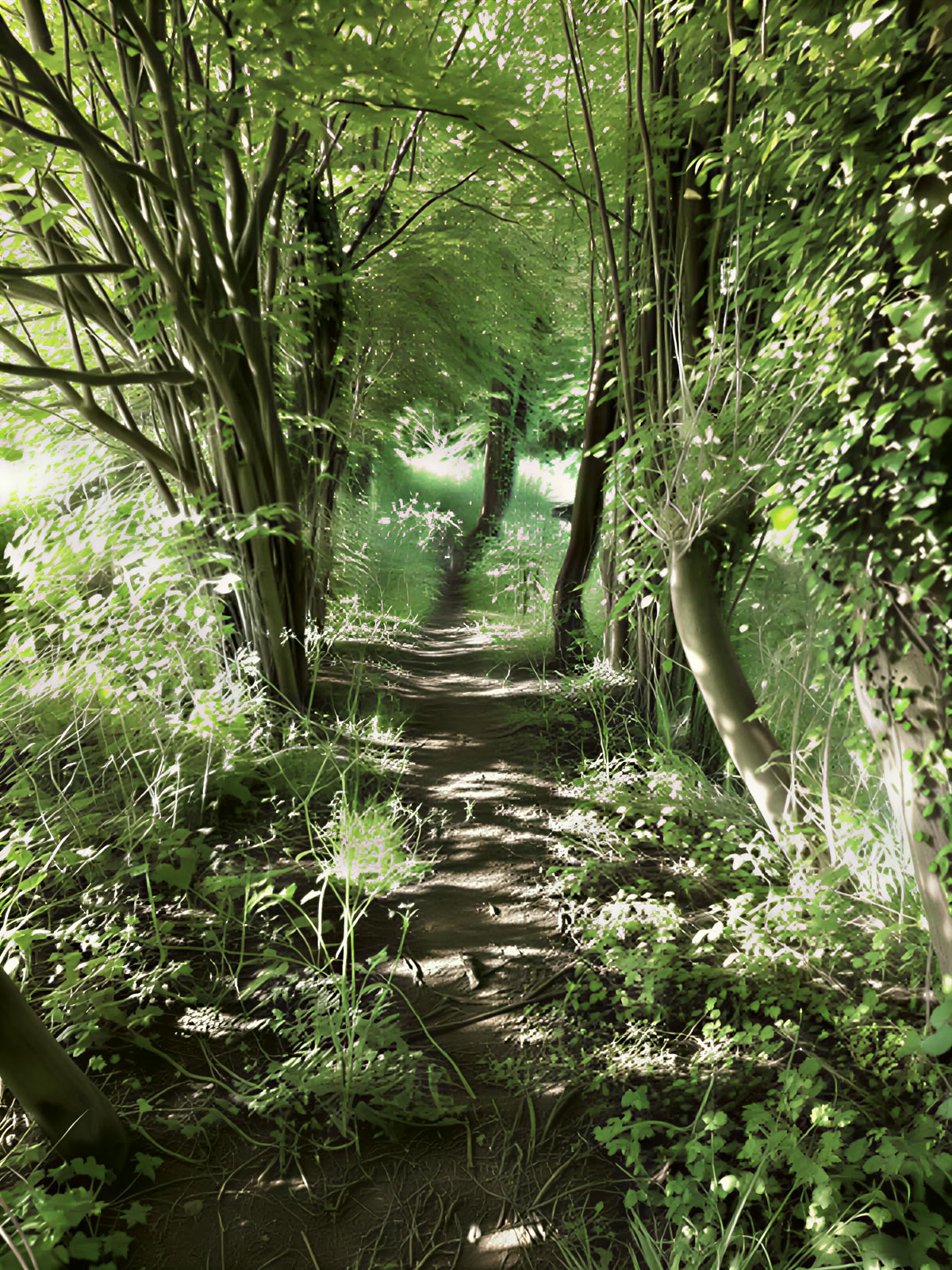 Wellnessdag for 4 – 30. juni kl. 9.00–14.00