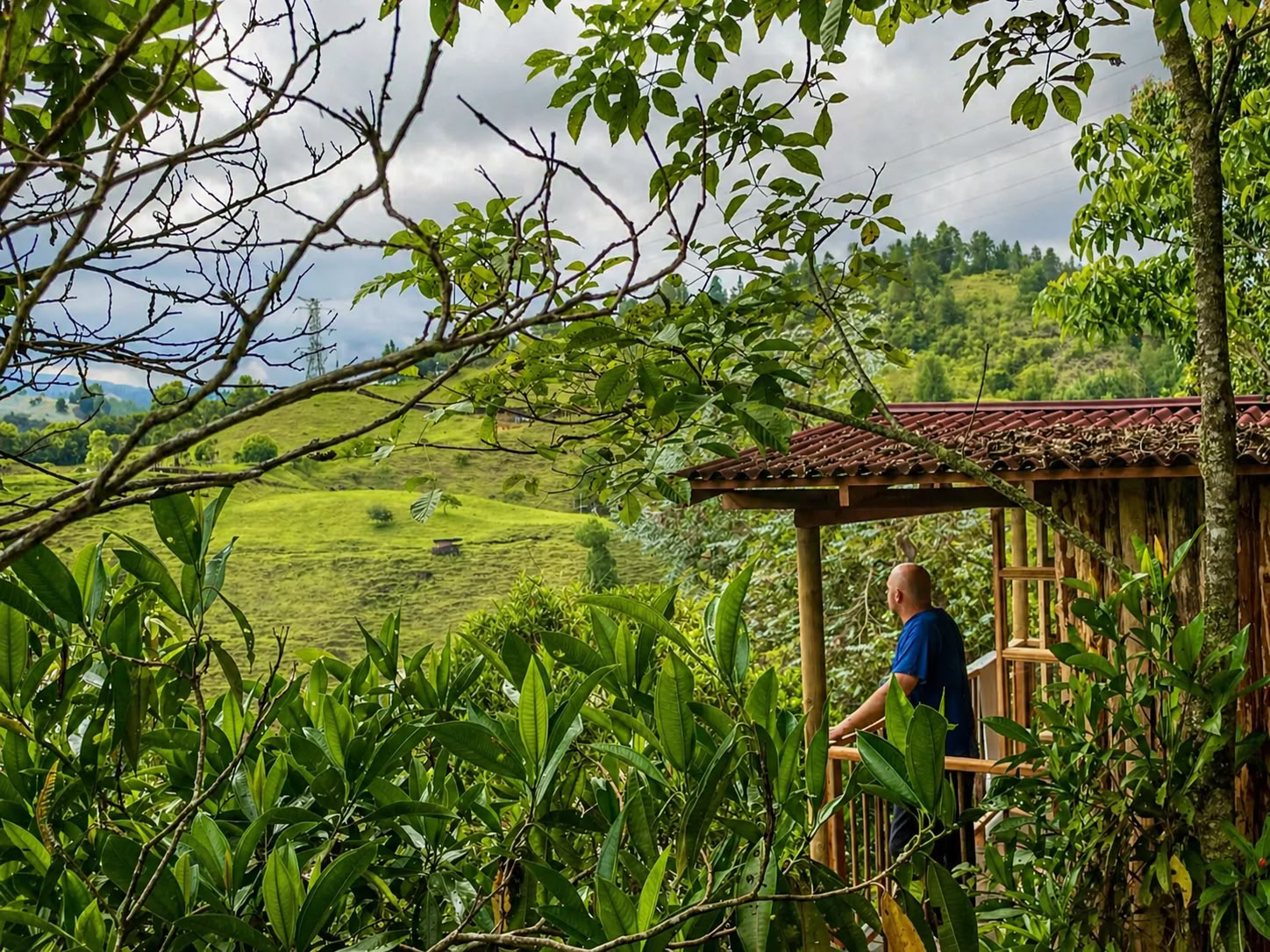 Ayahuasca-retreat for kvinder i Colombia