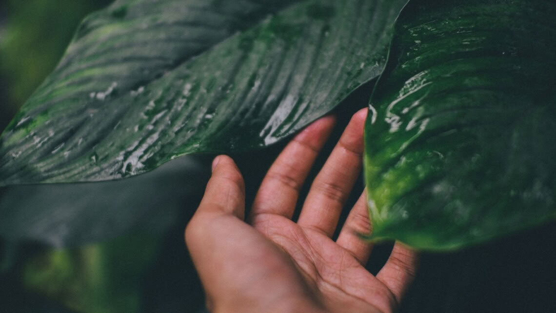 Introduktion til mindfulness-meditation