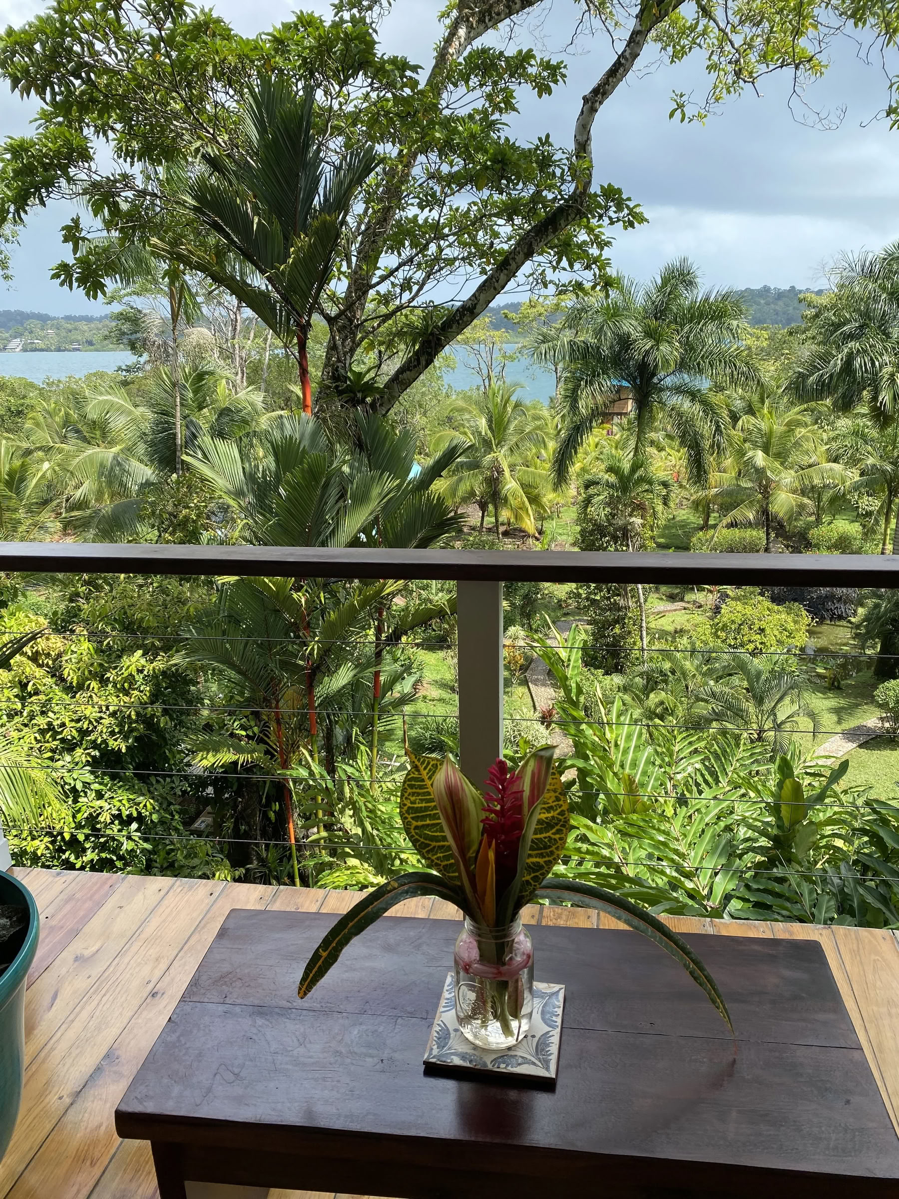 vokse og blomstre: et Roam Yoga- og wellness-retreat