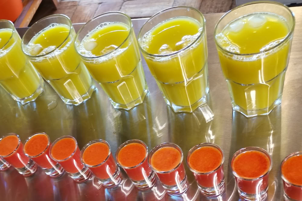 Juice-detox, yoga- og wellnessretreat – 31. okt. 2026 - 07. nov. 2026