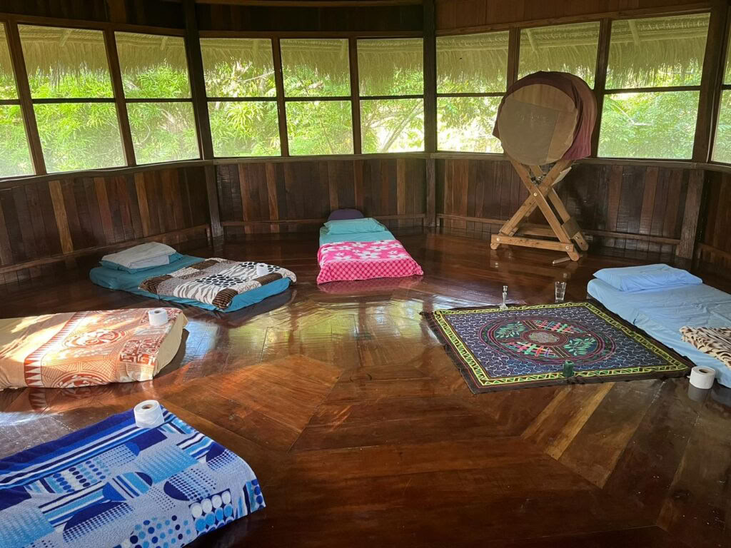 21-dages ayahuasca-maraton – 23. nov. - 12. dec.