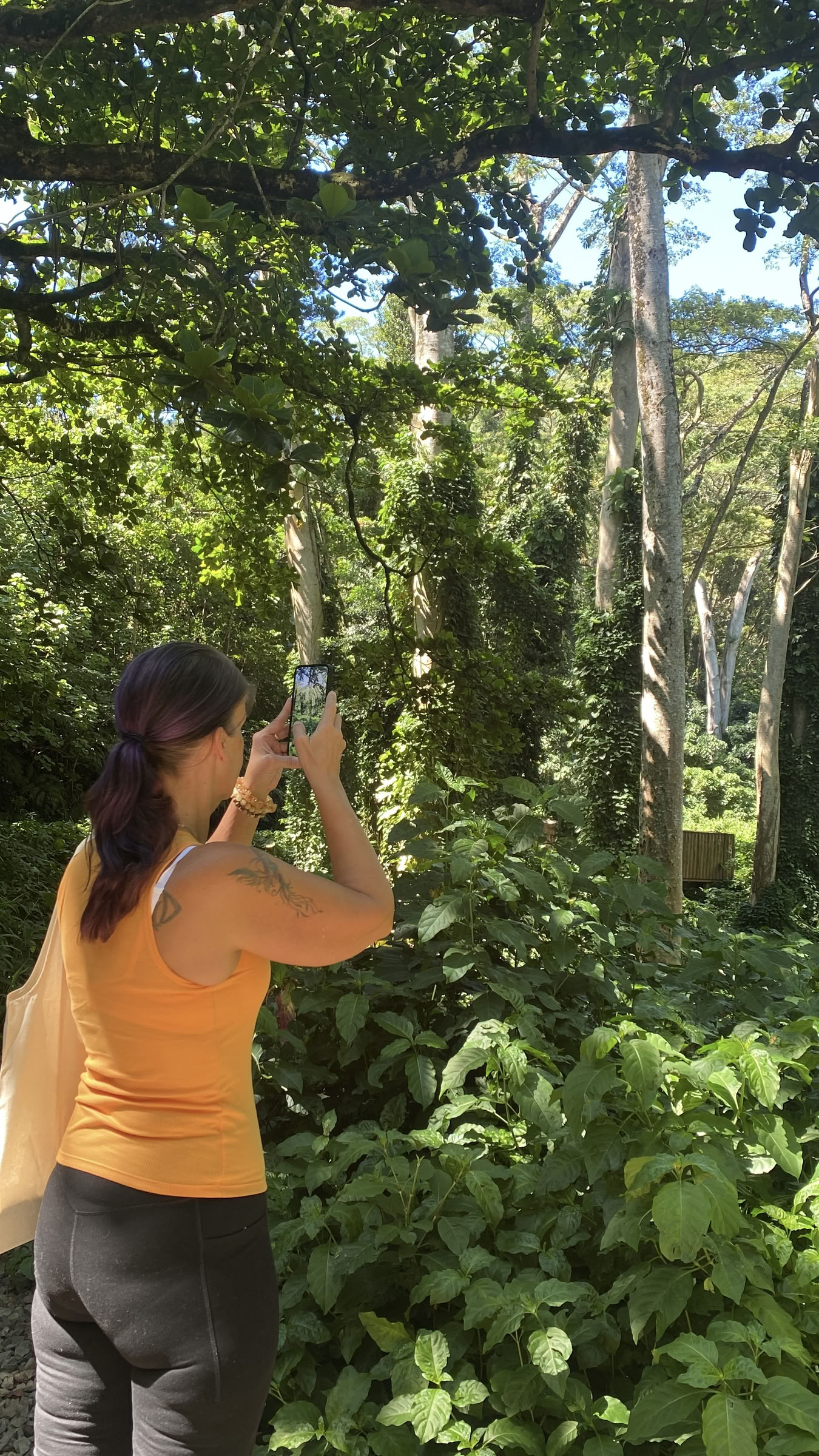 3-dages privat spirituel og helende retreat på Hawaii