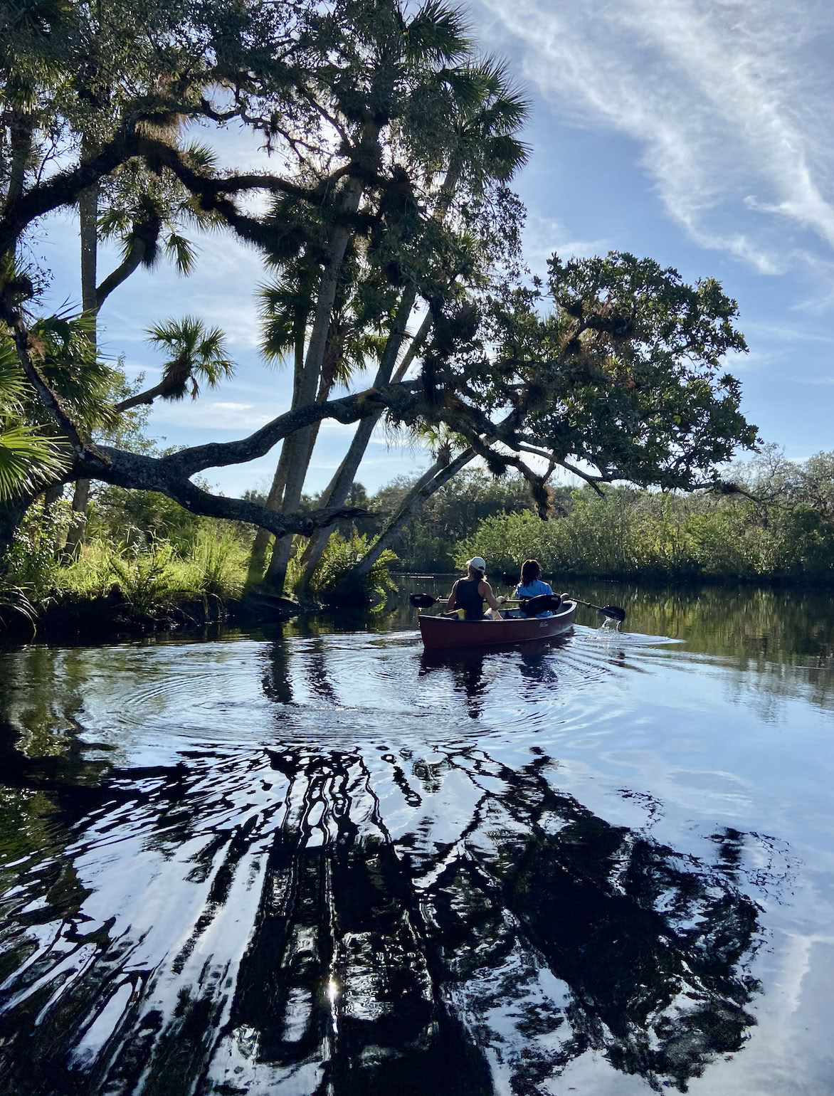 Vild Florida-familieretreat om foråret