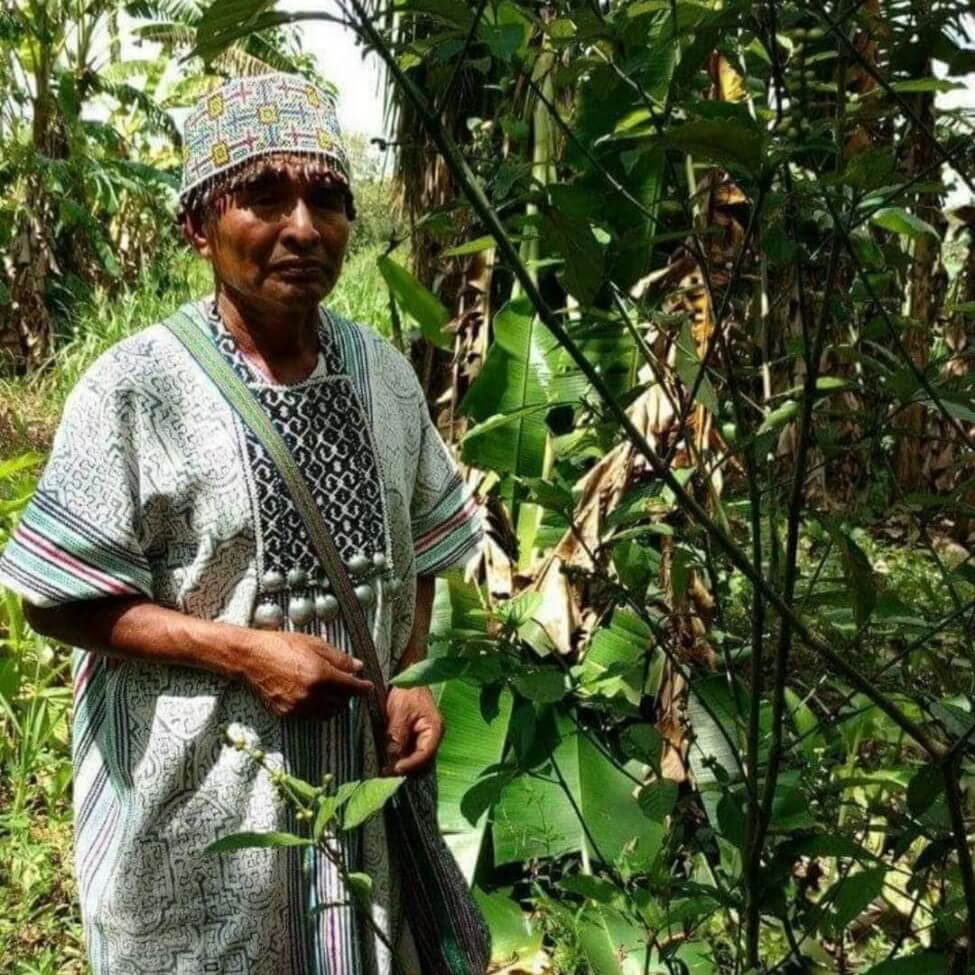 Ayahuasca-retreat i Peru med gamle ceremonier (5 dage)
