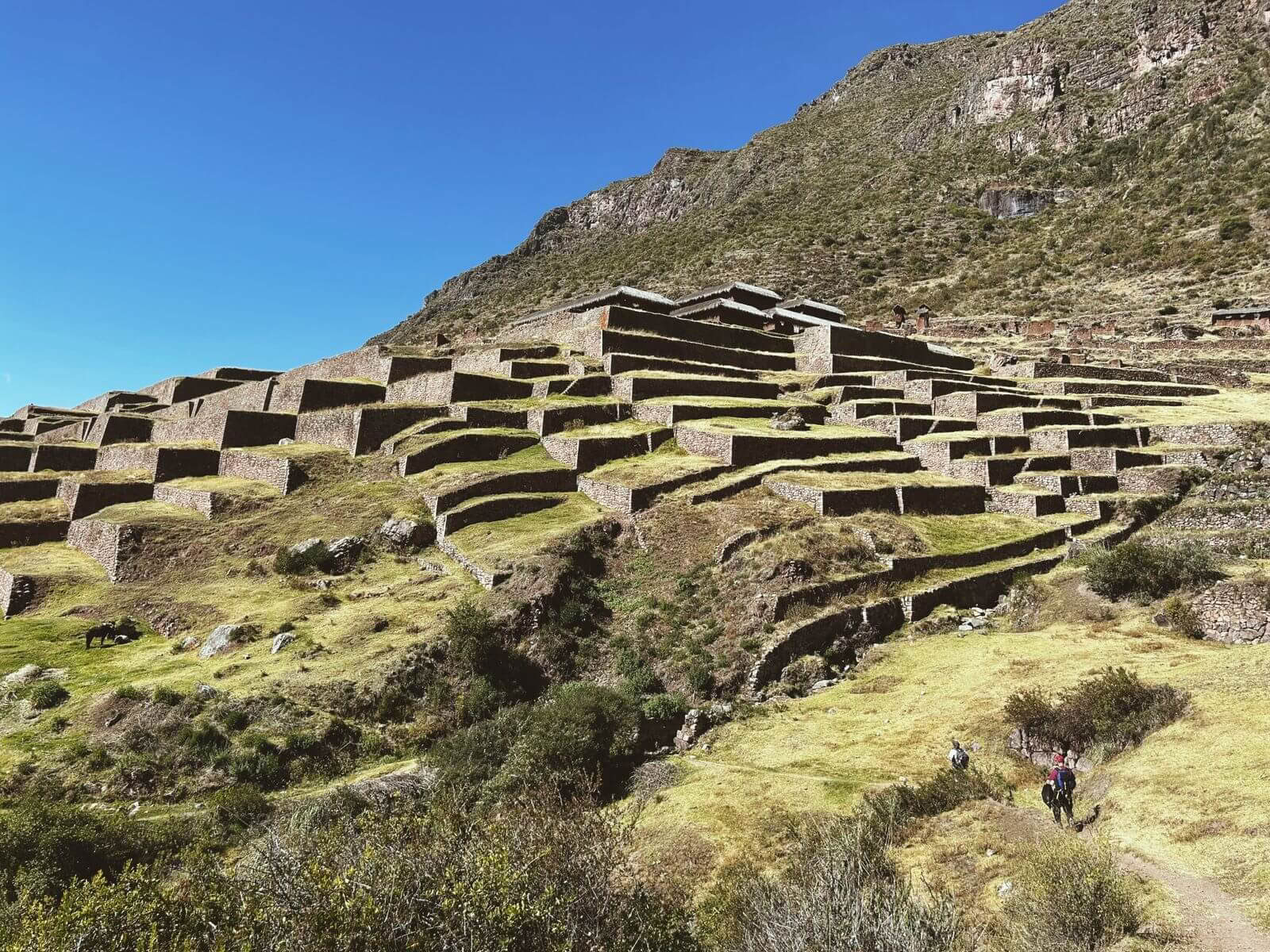 3 dages spirituel Huchuy Qosqo-vandring med San Pedro-medicin