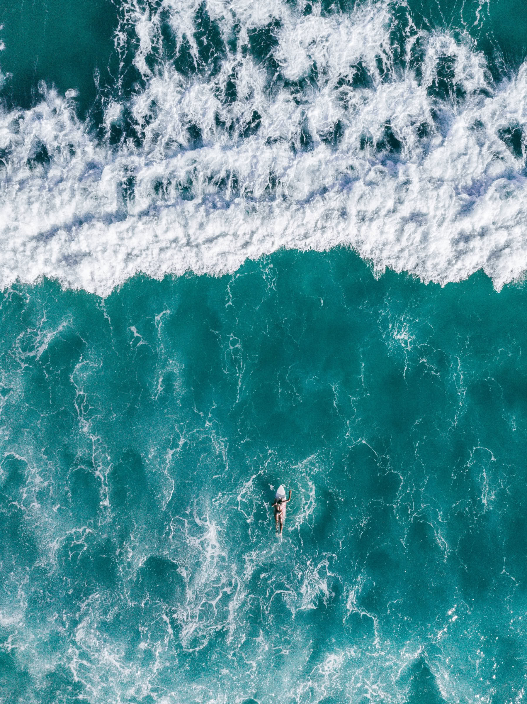 Surf & Fitness