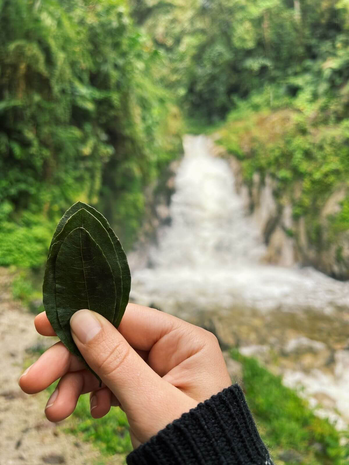 Mystiske Machu Picchu: Tur med nærværende øjeblikke (2 dage)