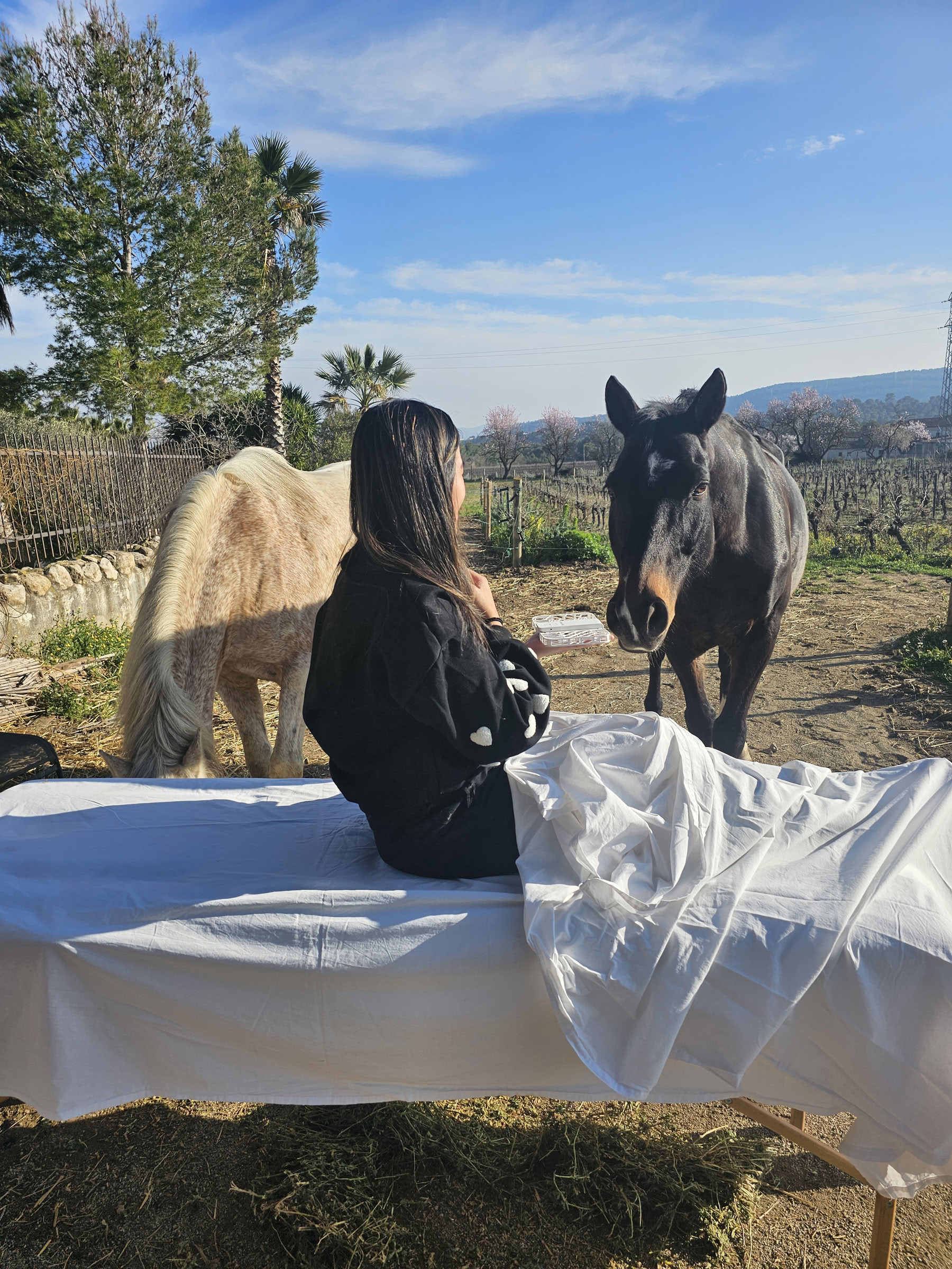 Yoga og heling med heste: 5-dages retreat