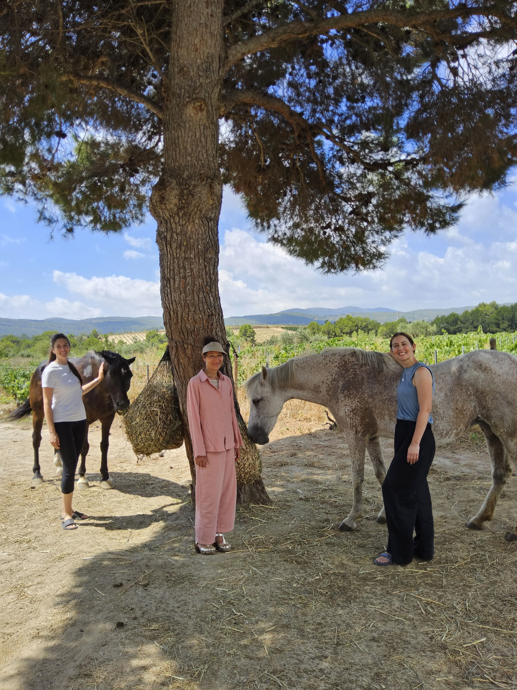Yoga og heling med heste: 5-dages retreat