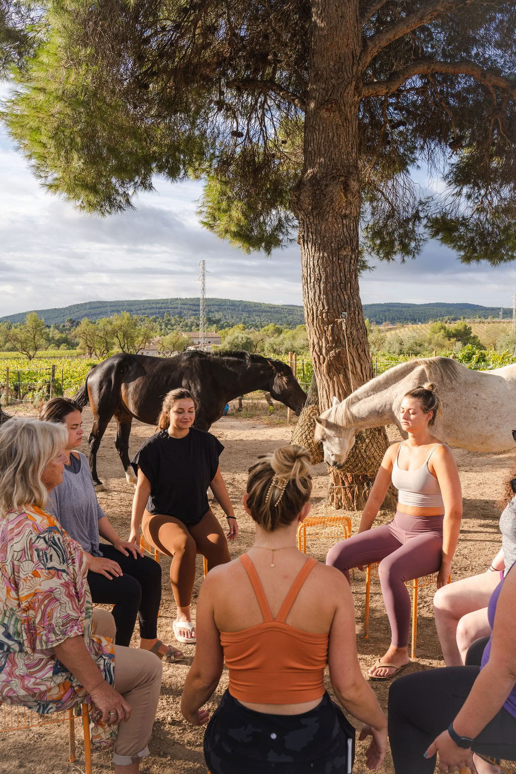 Alaya Firmaretreat