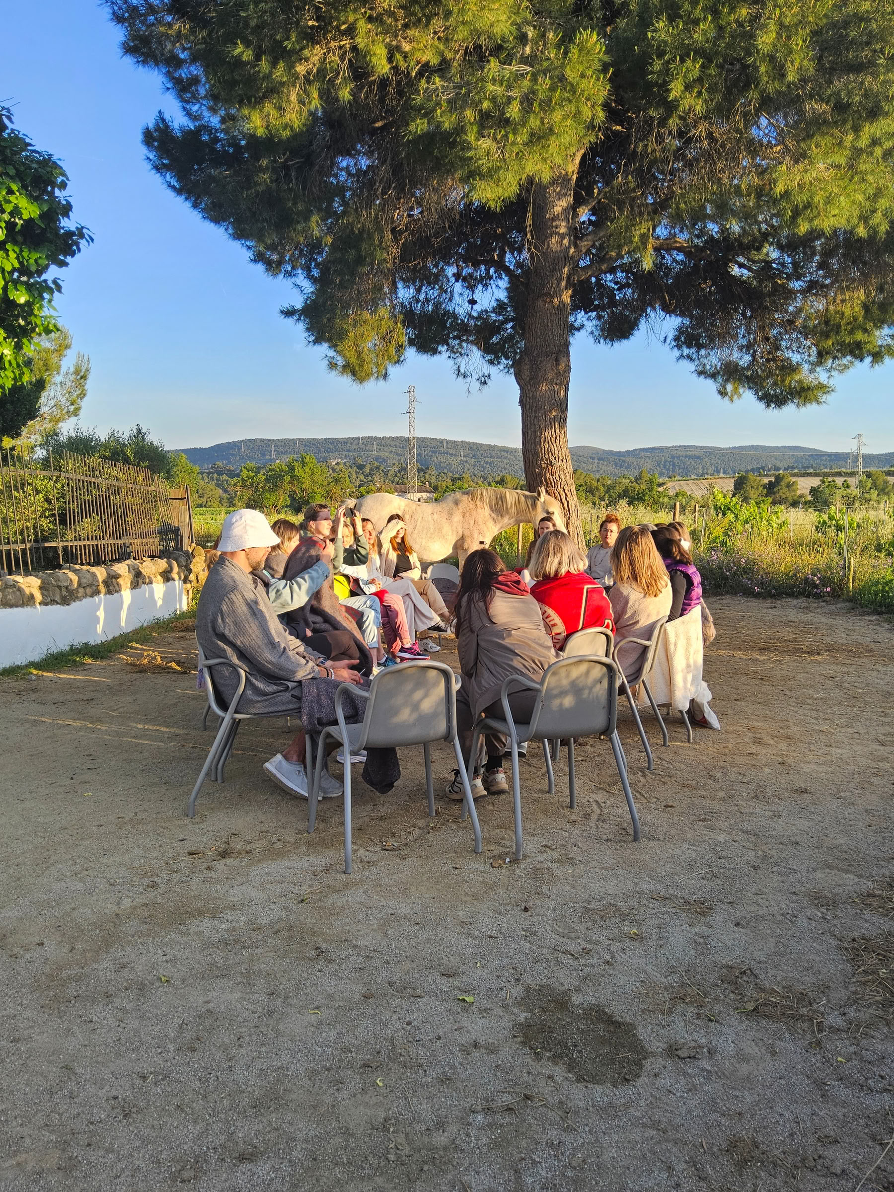 Alaya Firmaretreat