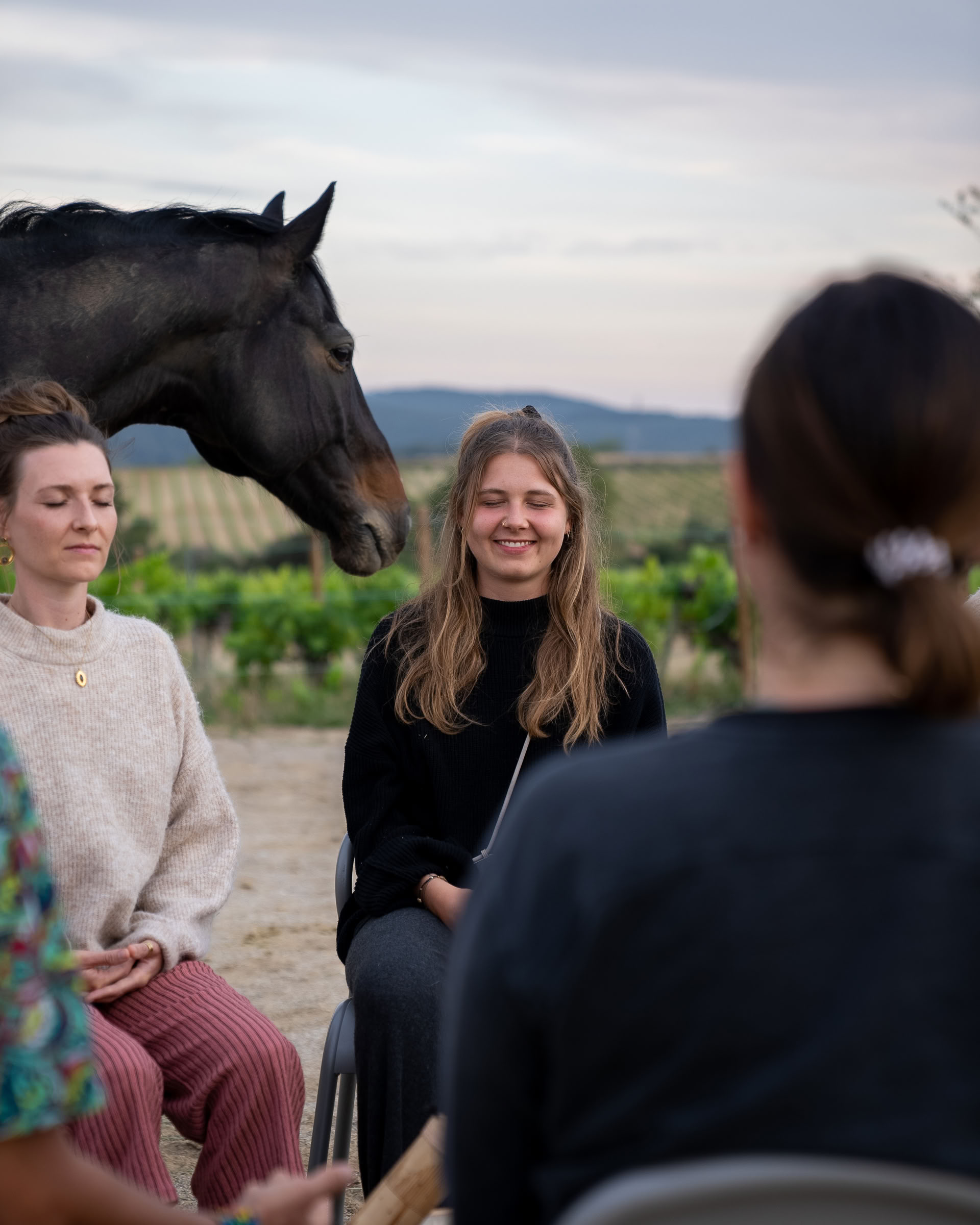 Yoga & heling med heste