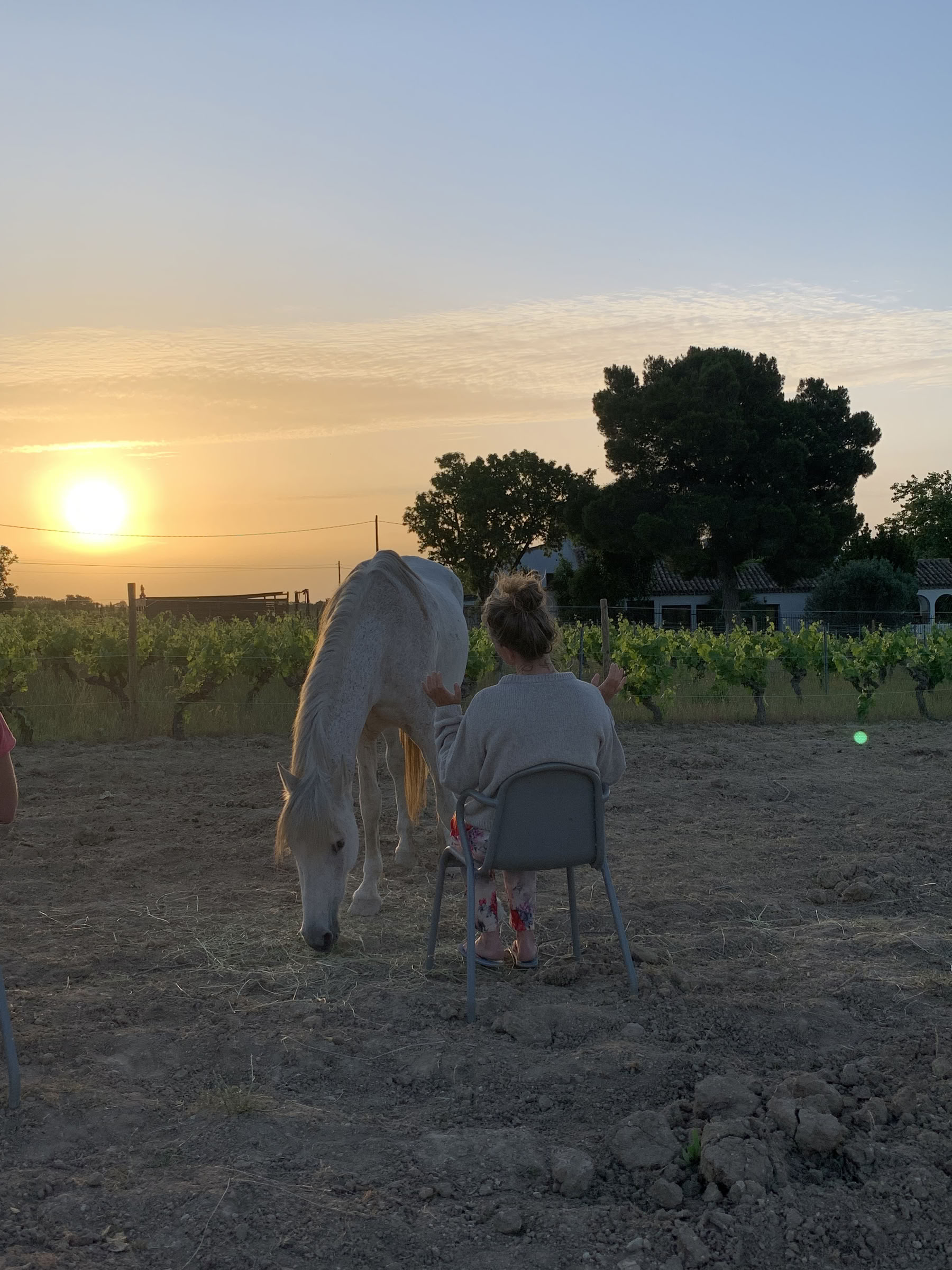 Yoga & heling med heste