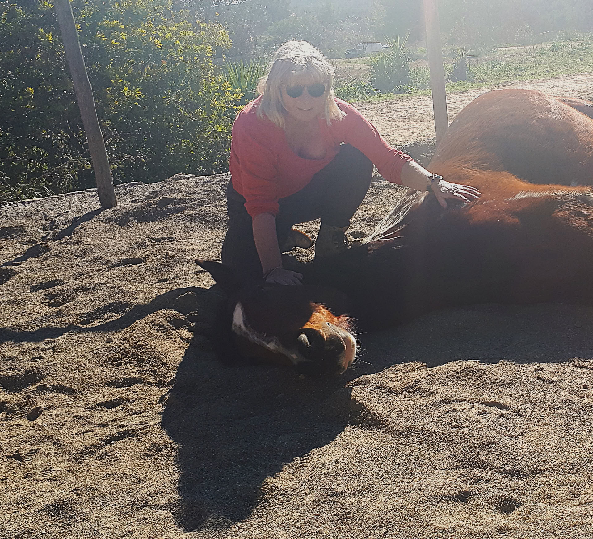 Yoga & heling med heste