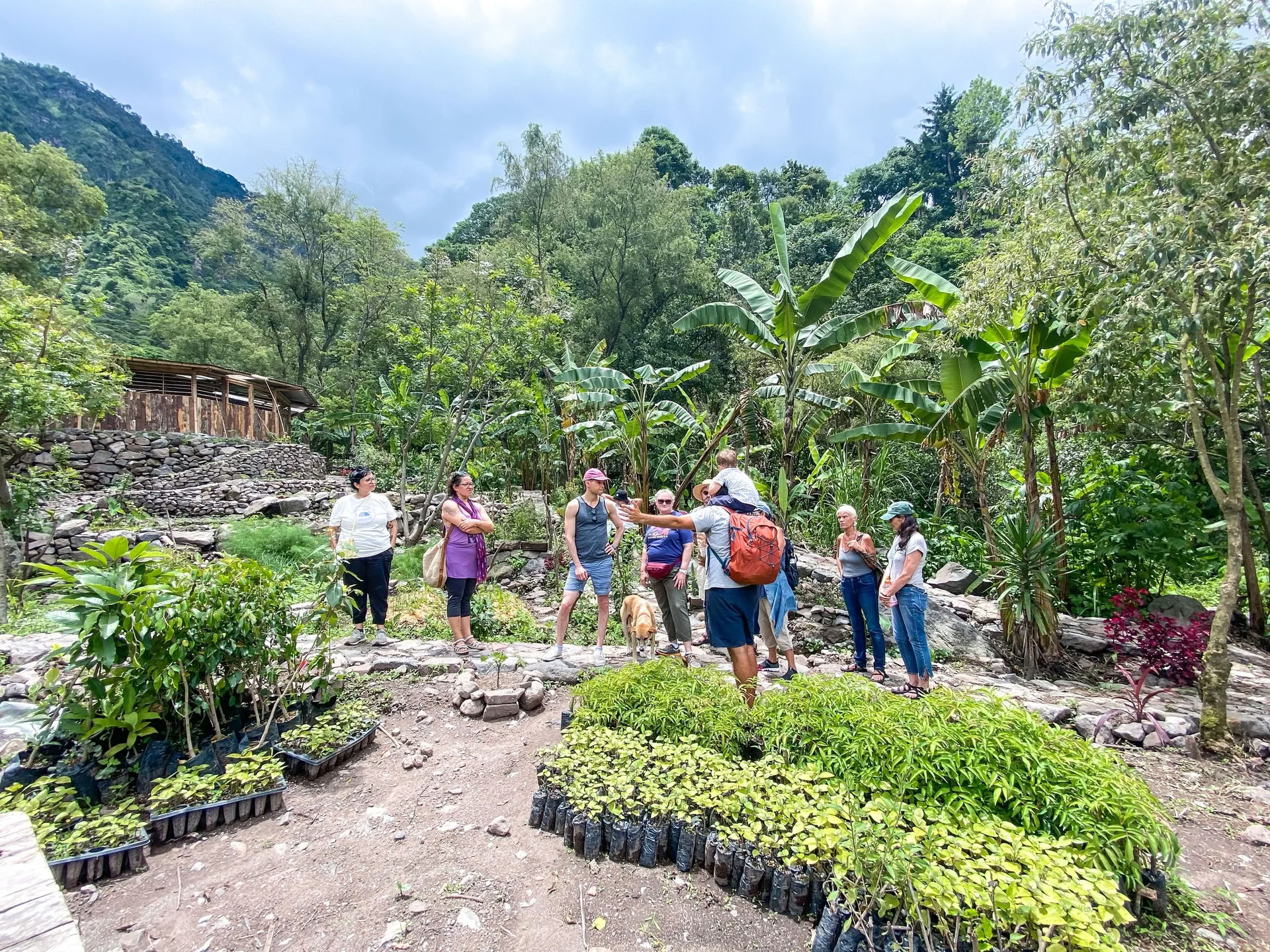 6-dages yoga-retreat i Guatemala – 12.-17. juni 2027 med Michelle Fajkus