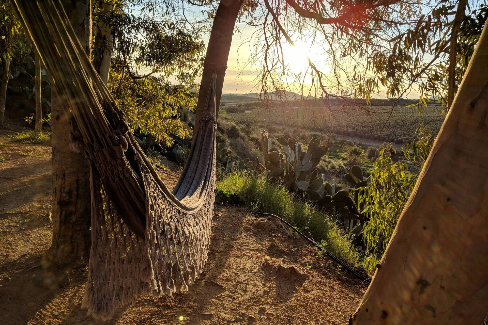 Dharma-retreat – 14.-18. november 2026 - Spanien