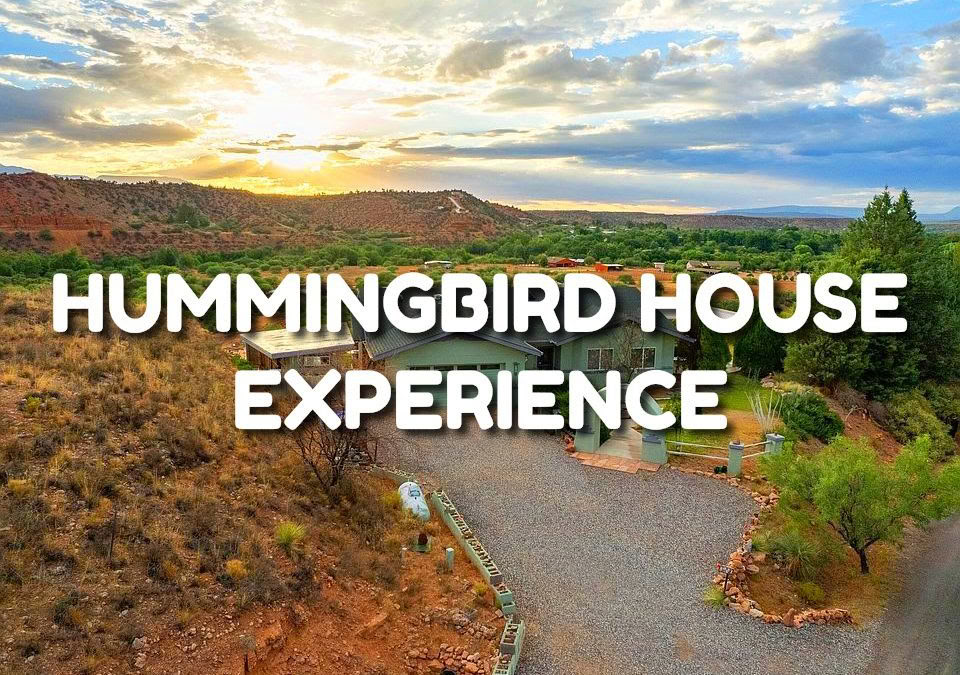 Hummingbird House-oplevelse