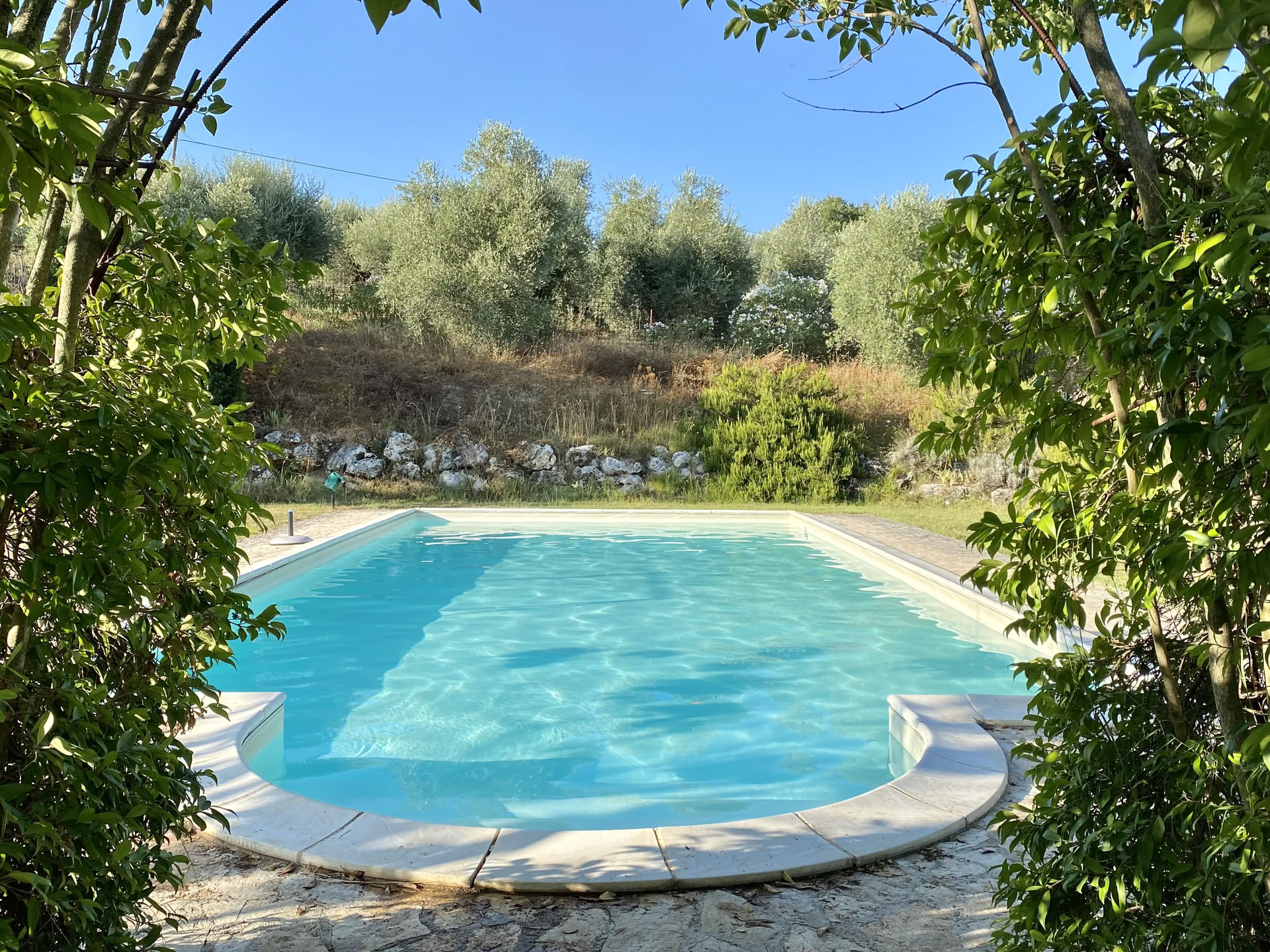 Cortisol-detox-retreat