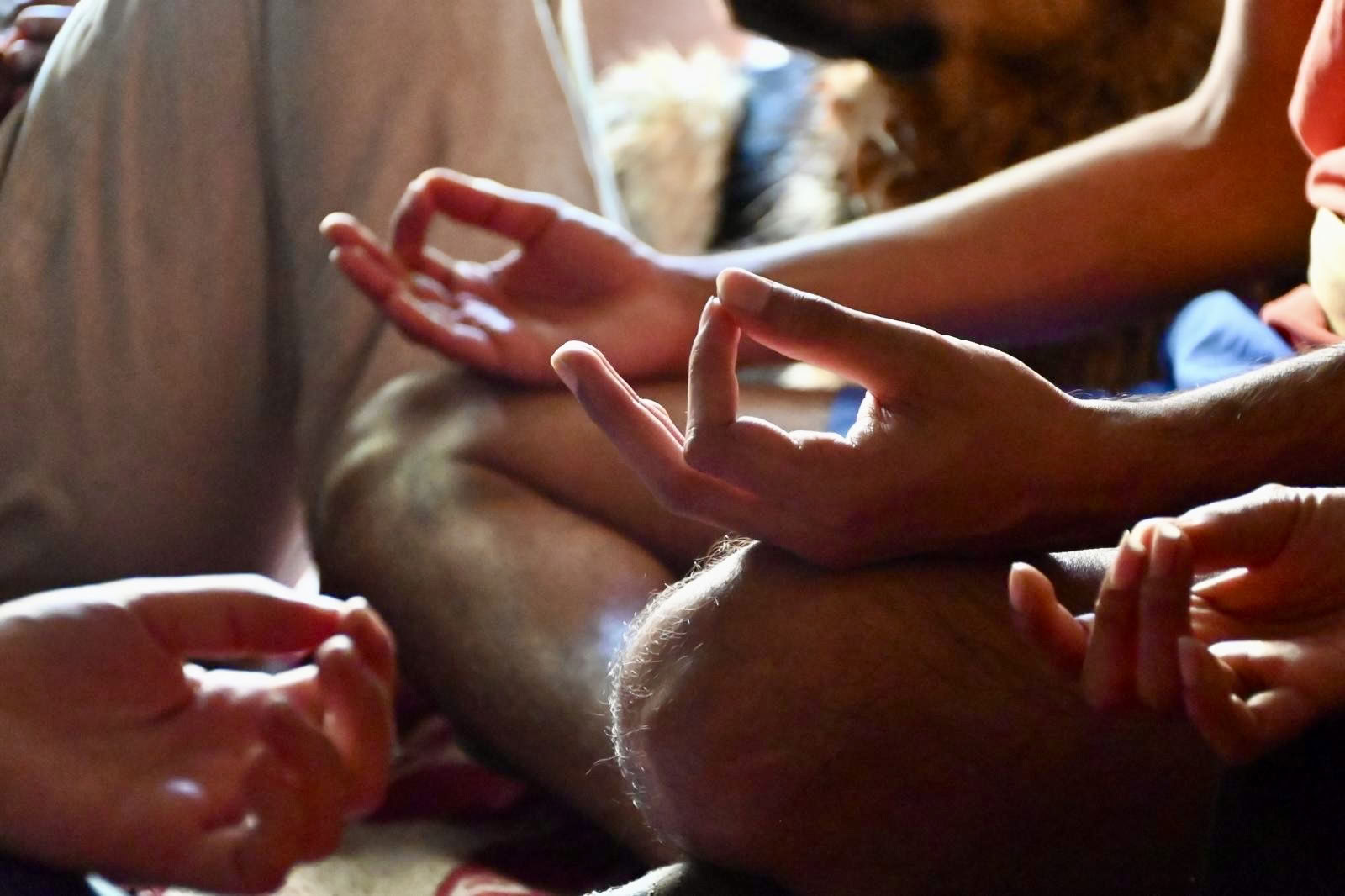 SHUNYATA: 11 dages stille opvågningsprogram.
