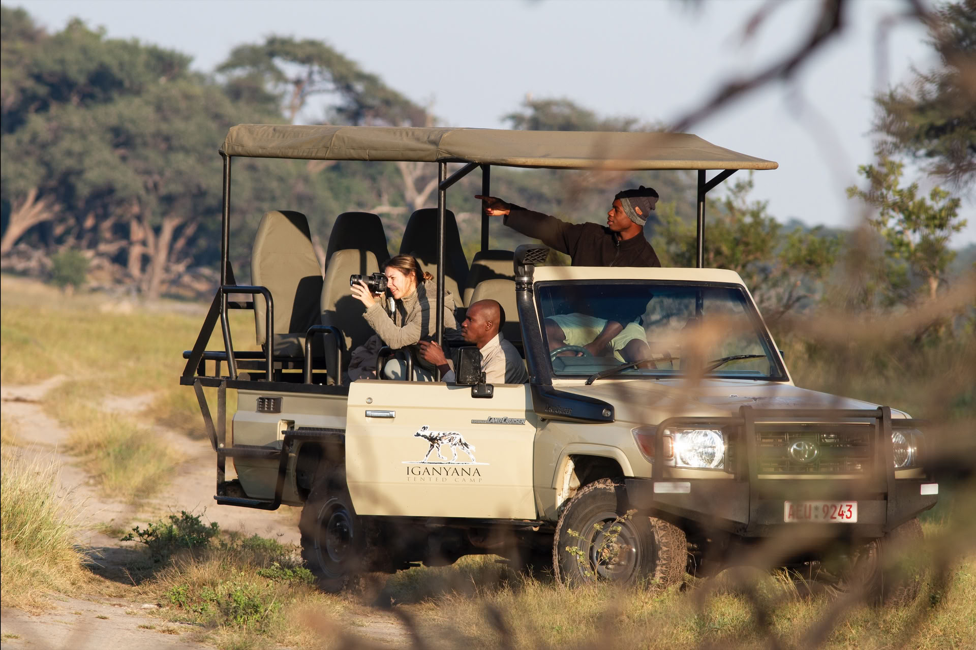 Sundheds- og Velvære-safari